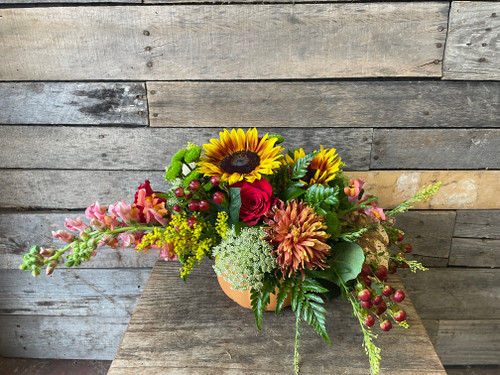 Thanksgiving Pumpkin Delight