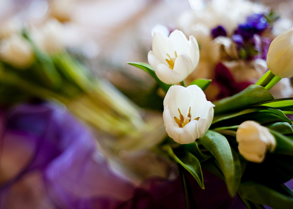 How to Choose the Right Florist in Chattanooga, TN Chattanooga Flower