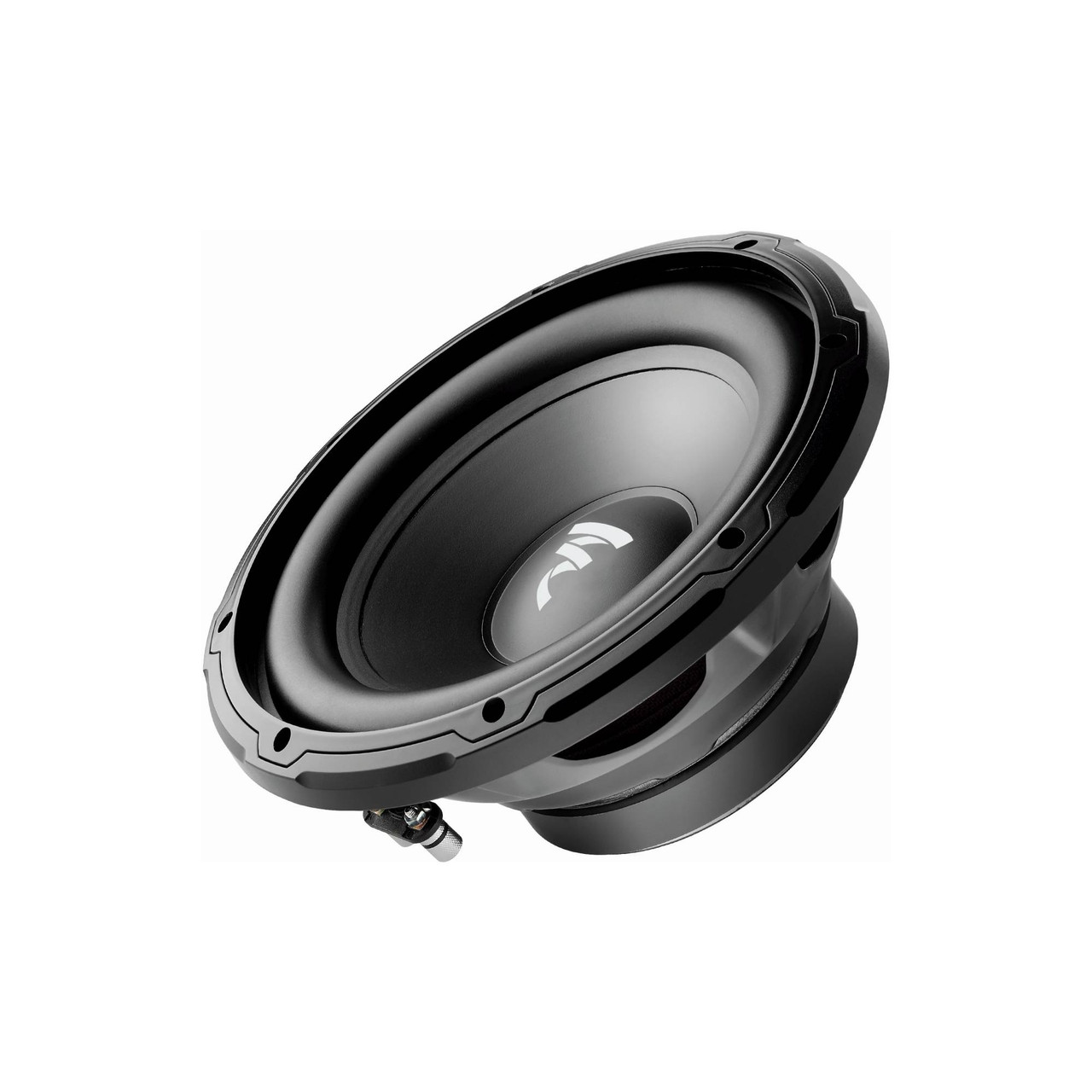 focal 10 sub