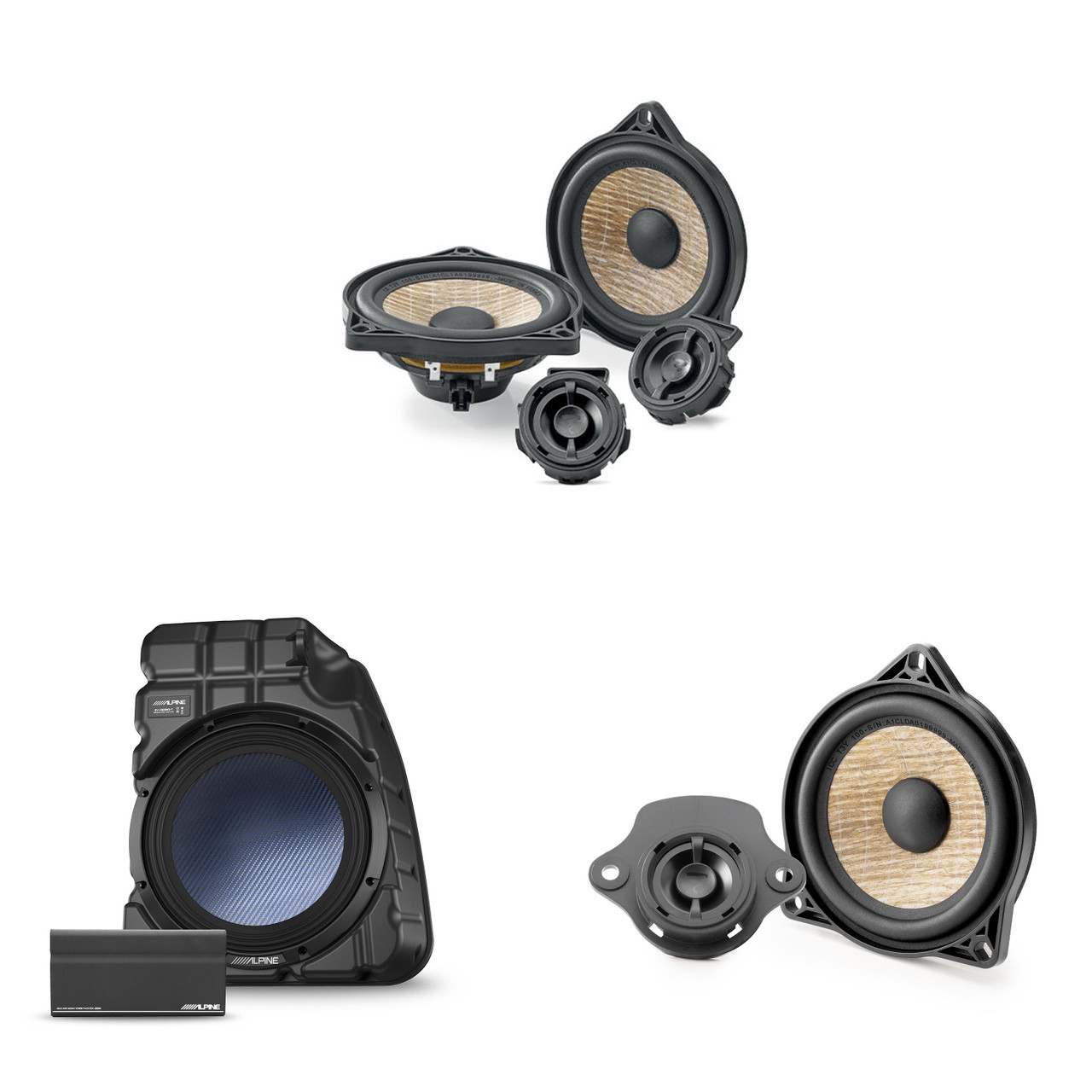 Alpine Tesla Powered 10