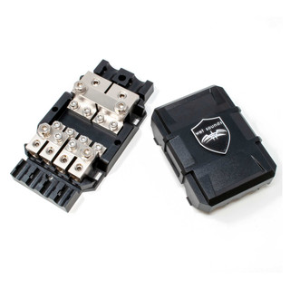 2 Fusibili ANL-300 Amp Heschen Per Auto - Oro E Nero, Per Impianto Audio