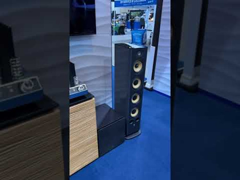 McIntosh at the Kansas City Boat Show! Creative Audio booth at the KC Boat Show! #mcintosh