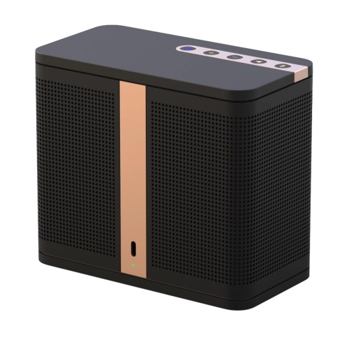 ELAC NAVA 100 Black - Portable Bluetooth Speaker - Creative Audio