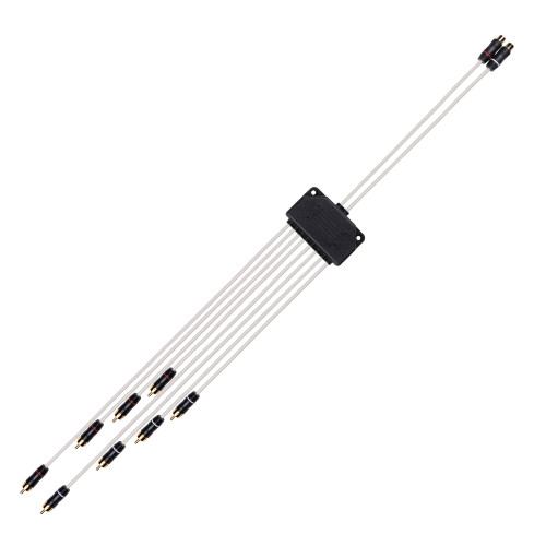 Fusion MS-RCAY8M Performance RCA Cable Dual Female To 8-way Male Splitter - 010-13356-00