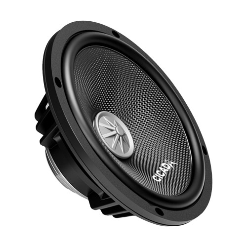 カバの牙　12.5センチ Cicada CXXM8.2 8