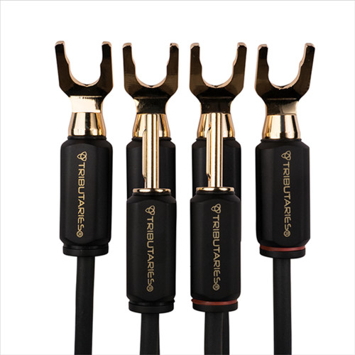 Tributaries 6BW-B-100D 10 ft Series 6 Bi-Wire Banana Speaker Cable