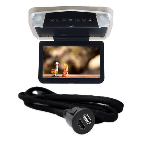 Voxx VODP10 10.1in DVD Overhead with HDH12 HDMI USB Extension