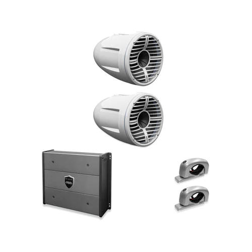 Wet Sounds REV 10 HD XW-W + Silver Fixed Clamp + SYN-DX2 Amp