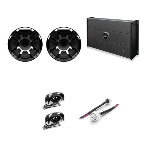 Wet Sounds REV 10 HD XS-B + Stainless Swivel Clamp + SYN-DX2.3HP Amp