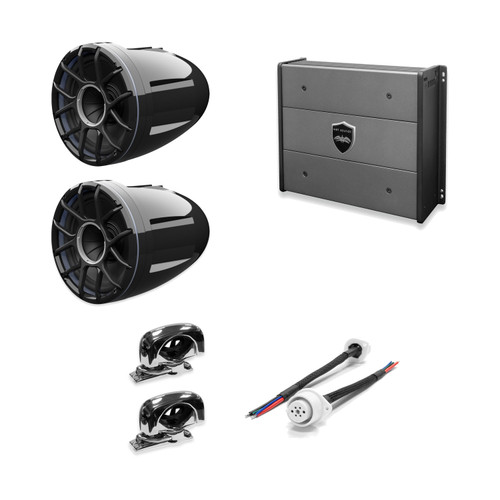 Wet Sounds REV 10 HD XZ-B + Stainless Swivel Clamp + SYN-DX2 Amp