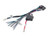 Focal IY-AC “Y” Adapter cable for IMPULSE 4.320; ISO Standard - Open Box