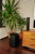 Enclave CineHome II | 8" Subwoofer