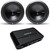 Rockford Fosgate 2 P3D4-12 Punch P3 Dual 4-Ohm 12" Subwoofers and 1 P1000X1bd Punch Amp