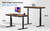ErgoAV ERDS1-01W - 57" Wireless & Wired Charging Standing Desk - Walnut (Wood)