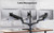 ErgoAV ERDGM4-01B - Gas Spring Mount for Triple Monitors 13" to 32"