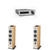 FCHORA826LW-D (PAIR) + Elac DS-A101-G - Discovery Amplifier with Wi-Fi - GREY