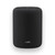 WiiM Sound Lite Black Smart Speaker | 100W Peak | 24-Bit/192kHz | AI RoomFit | Wi-Fi 6E