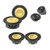Focal K2 Power M 3-Way Active Speaker System