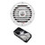 Cerwin Vega RPM104SL Marine RGB Subwoofer (sealed applications) and App Based Color RGB Controller