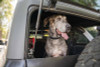 DV8 Offroad 2021-2024 Ford Bronco Dog Barrier - MPBR-10 Photo - out of package