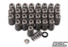 GSC P-D Ford 5.2L Voodoo/Predator Conical Spring & Ti Retainer Kit - 5013 User 1