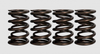 Ferrea 84-98 Harley-Davidson Evolution 1.005/1.530 OD .730/1.110in ID Dual Valve Springs - Set of 4 - S10052 User 1