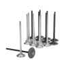 Skunk2 Honda K20C1 Alpha Series Inatke & Exhaust Valve Set (Standard Compression) - 310-05-2000 User 1
