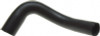 Gates 87-90 Jeep Wrangler 6-Cyl. 4.2L Lower Molded Coolant Hose - 20559 Photo - Primary