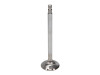 Manley Nissan 3.0L RB30E Exhaust Valve Kit - 36.10mm Head Dia. 124.59mm O/A Length, 0.3136in Stem - 11187-6 User 2