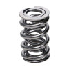 Manley Valve Spring, SPRING-1425 POLISHED - 221425P-16 User 1