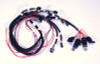 Fast Coil Harness, Coyote, Xr-1A Coils - 30367 Photo - out of package