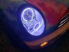 Oracle 05-08 Mini Cooper LED Headlight Halo Kit - UV/Purple - 2431-007 Photo - lifestyle view