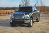 Rough Country Power Running Boards Crew Cab | Ford F-150 (2009-2014)