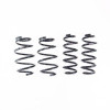 RS-R 05-08 Mazda Mazdaspeed 6 Down Sus Springs - M115D User 1
