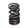 Manley Honda (K20A K20Z) 16pc Valve Springs - 22140-16 User 1