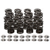 Manley Honda K20A/K20Z Valve Spring and Retainer Kit (w/o Valve Locks) - 26140 User 3