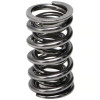 Manley Chevy LS/LT1/LT4 Valve Spring and Titanium Retainer Kit (w/ Valve Locks) - 26351148KS User 1
