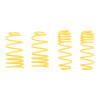 ST Sport-tech Lowering Springs VW Jetta IV Sedan - 66206 User 1