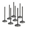 Supertech Peugeot 306 XU10J4 Black Nitrided Intake Valve - +.05mm Oversize - Set of 8 - PEIVN-28055F-8 User 1