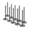 Supertech Audi/VW 2.0T FSI 16V Black Nitrided Intake Valve - Set of 10 - VWIVN-1002S-10 User 1