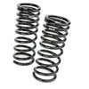 RS-R 08-13 BMW 135i (UC35) Ti2000 Down Springs - BM003TD Photo - Primary