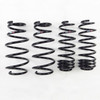 RS-R 09-13 Honda Fit (GE8) Down Sus Springs - H272D