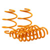 ARK GT-F Lowering Springs Genesis G70 2018+