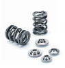 Supertech Audi 2.5T FSI/TFSI/EA113/EA888 Single Valve Spring Kit - SPRK-A2416-BE2 User 1