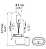Hella Bulb 862 12V 37.5W PGJ13 T3.25 - 862 Photo - Primary