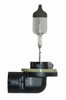Hella Bulb 896 12V 37.5W PGJ13 T3.25 - 896 Photo - Primary
