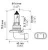 Hella Bulb 9006/HB4 12V 55W P22d T4 LONGLIFE - 9006LL Technical Drawing