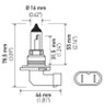 Hella Bulb 9006/HB4 12V 55W P22d T4 LONGLIFE - 9006LL Technical Drawing