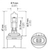 Hella Bulb 884 12V 27W Pg13 T325 - 884 Technical Drawing