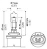 Hella Bulb 887 12V 50W Pg13 T325 - 887 Technical Drawing